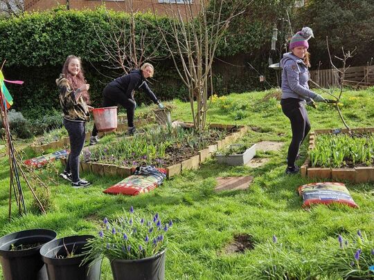 Sprucing up Lindum Grove Community Garden