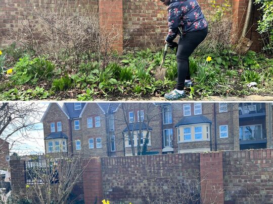 Tidy garden, tidy mind!