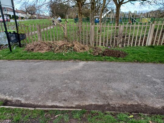 Broadway Park path 