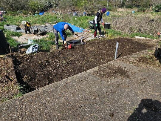 Weed had a lot of fun at the allotments 