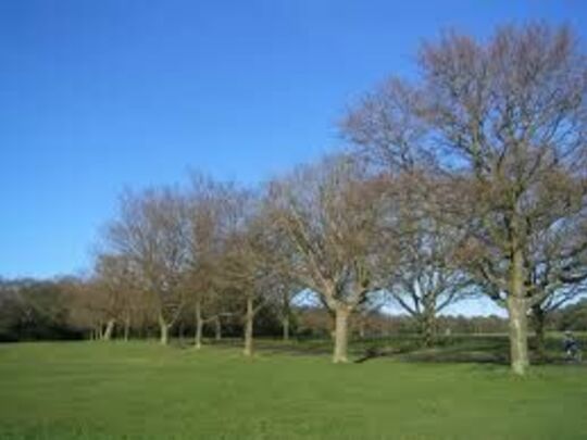 GGs at junior parkrun