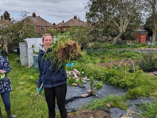 Digging in to get the allotment on track 