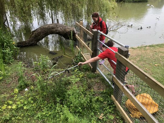 Pond Picking 