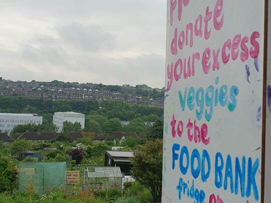 Spud-tacular Efforts at the Allotment!