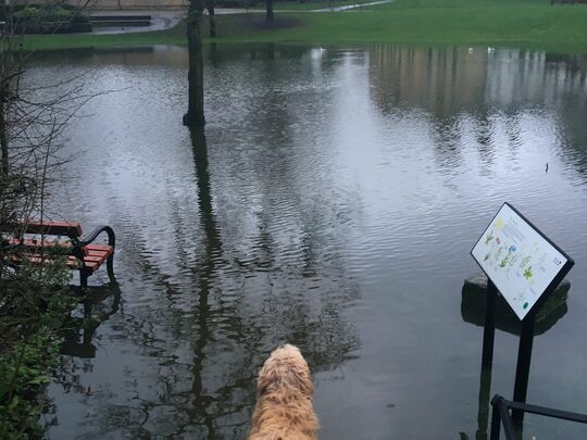 Rain check at Stephens House and Gardens.