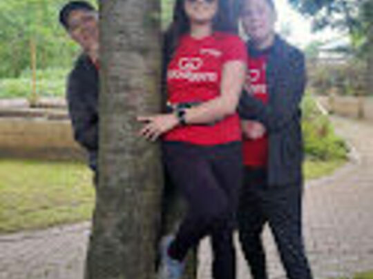 Tree Huggers