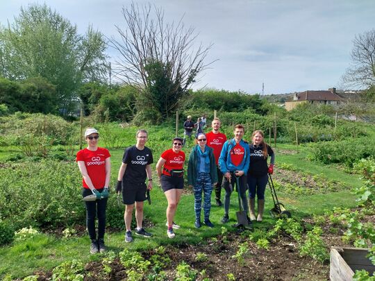 The berry best maze maze maintainers.