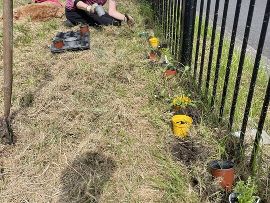 Flower Power: A Bloomin' Good Day of Guerrilla Planting!