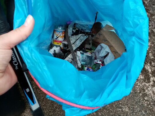 Bin litter picking 