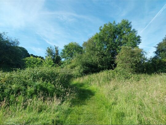 Harcourt Hill Sprints