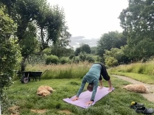 Dog tired ! Yoga for it at goodgym