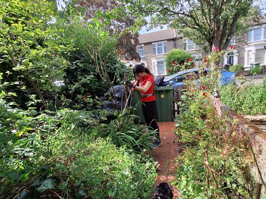 Led down the garden path