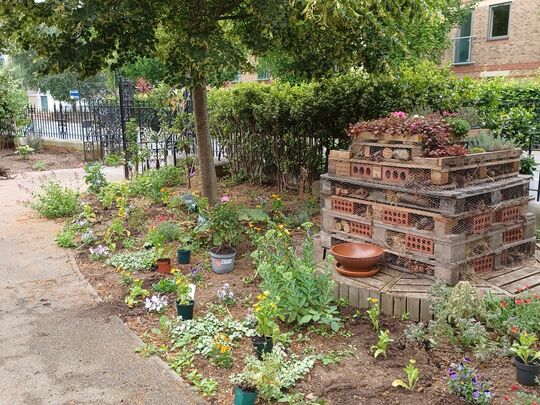 Rooting out the shrubs