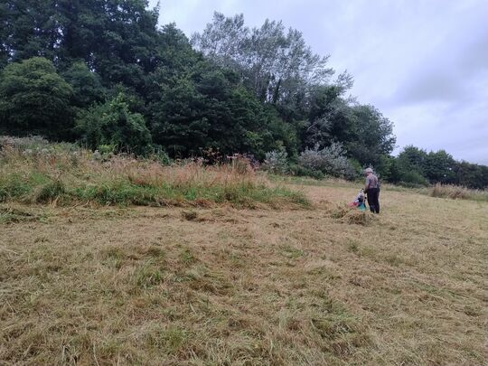 Hay, don't bale on me now! We’ve got a field to clear.