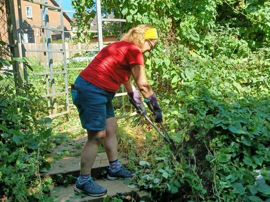 Cutting back the weeds that bind