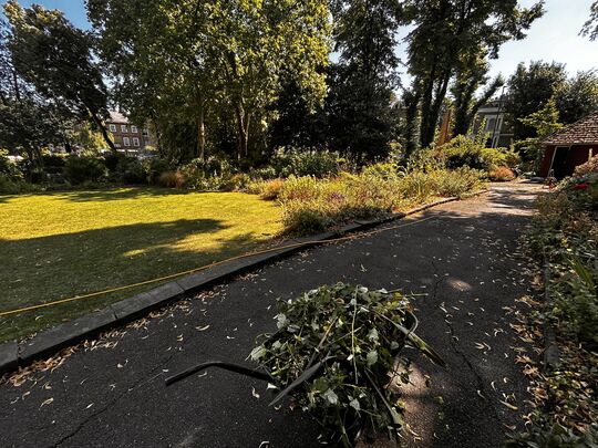 Penn Road Gardens Community Gardening 