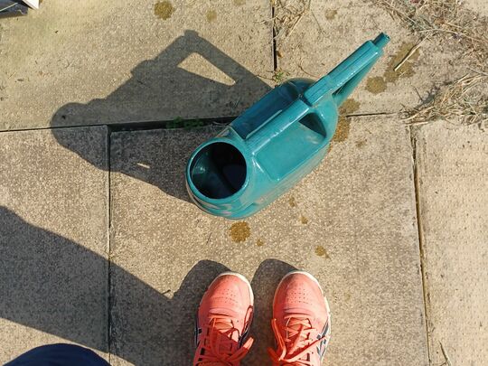 Hydration at the Community Allotment