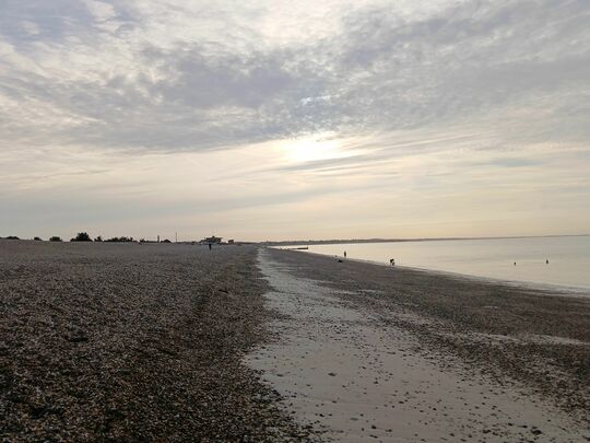 An early morning beach clean