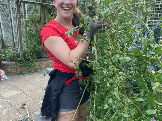 Tree-riffic Tasks at Doddington Rooftop Garden