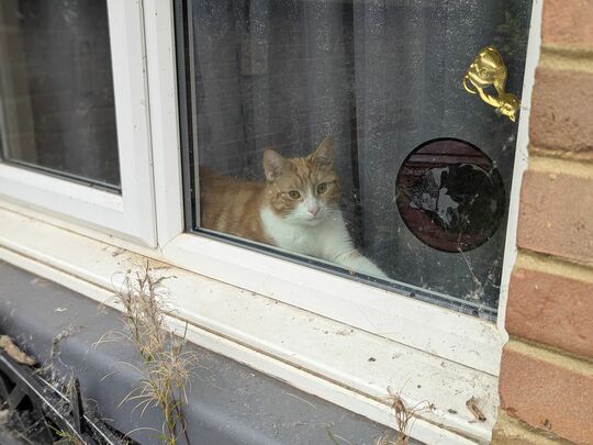 Weathering the Weeds