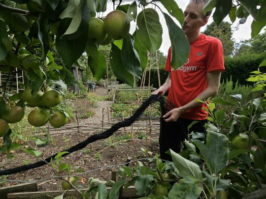 Apples and Nets