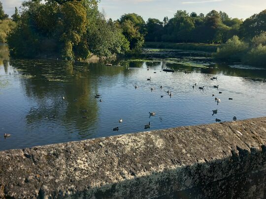 Sunshine on the Soar