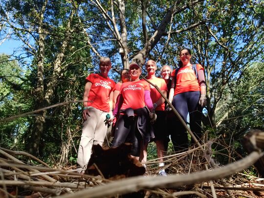 Working on the Woodland Walk