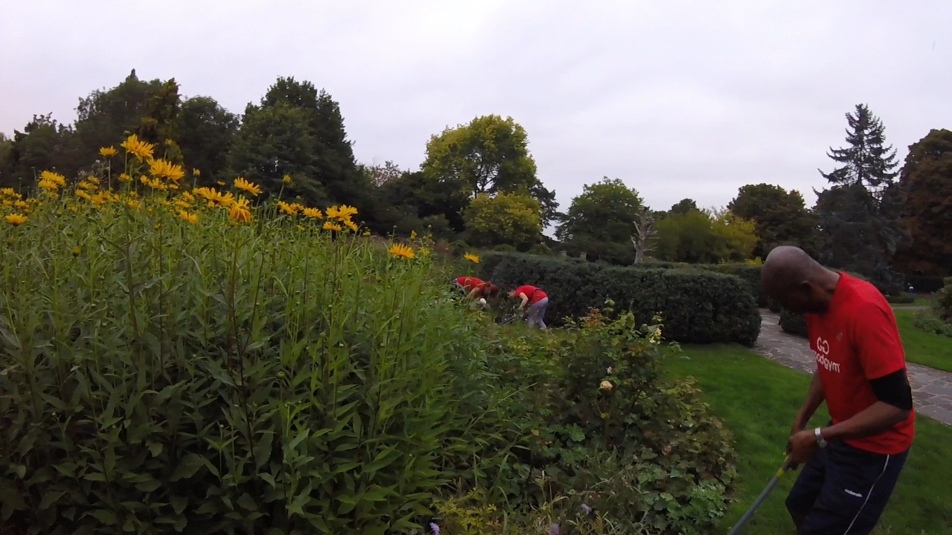 A little to MULCH - not for Goodgym Bexley.........