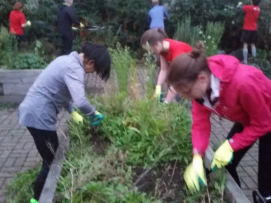 Tower Hamlets squatters show it's good to be marrow-minded