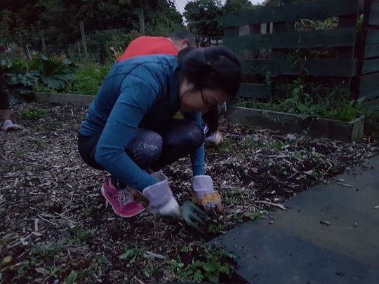 Weeding...In The Night Garden