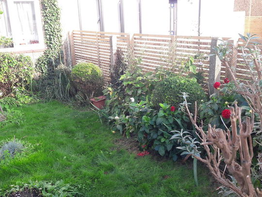 Hedges, fences and trellis 