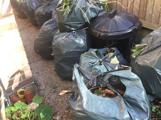 Ivy run out of bin bags