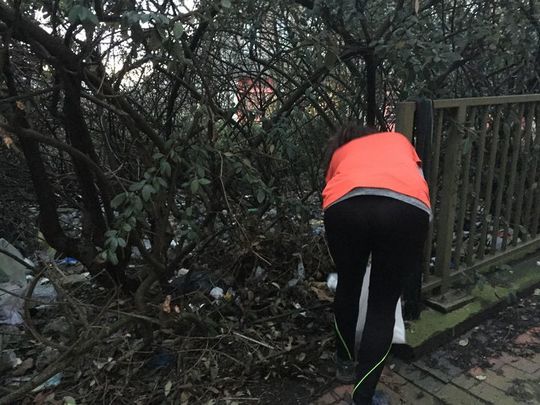 Long Lane of Litter