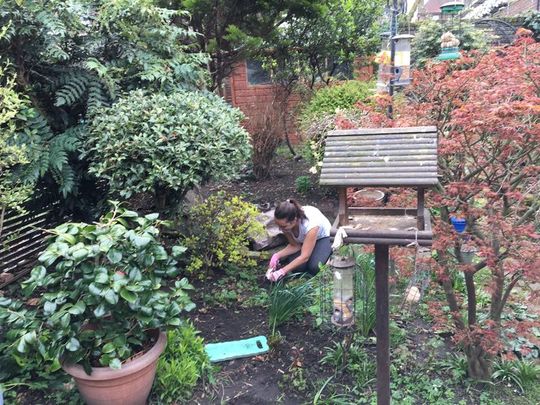 Giving the garden a weedy good clean