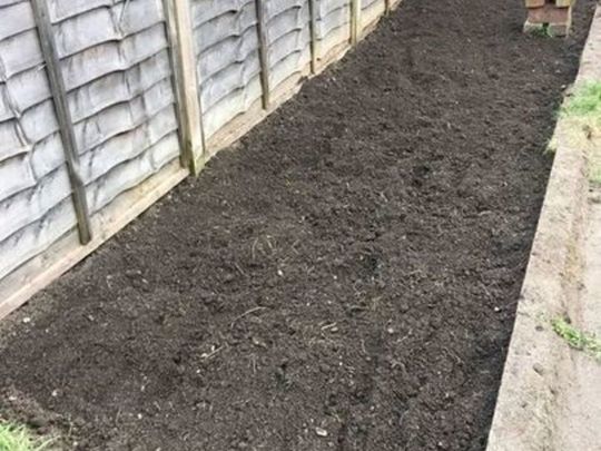 A garden party...turn'ing up the soil and the square root beer!