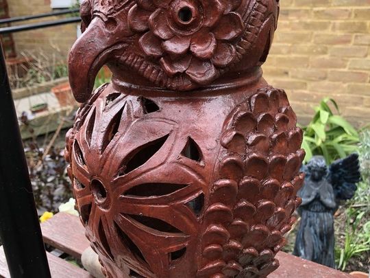 Owl be there for you...hooting around the garden