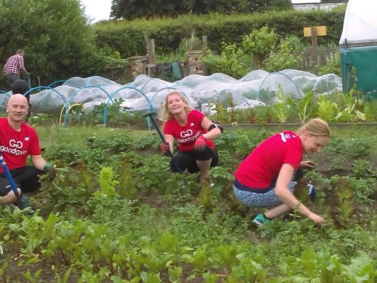 Hoe Lot of Weeding Going On