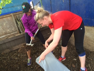 Knee deep in….Stepney City Farm compost