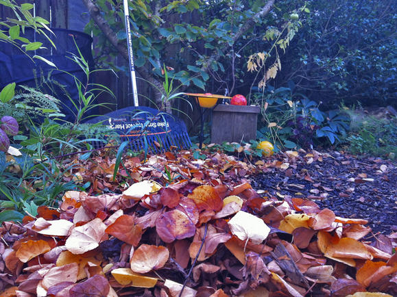 A well spruced up and tidy garden for Miss B