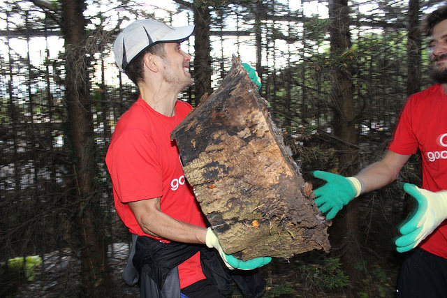 Logging Haringey's First Run