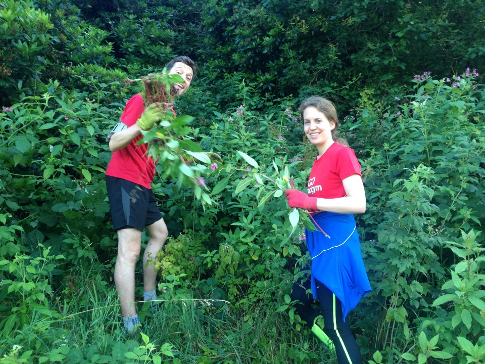 Balsam, Bunnies, Berries and Black T-shirts