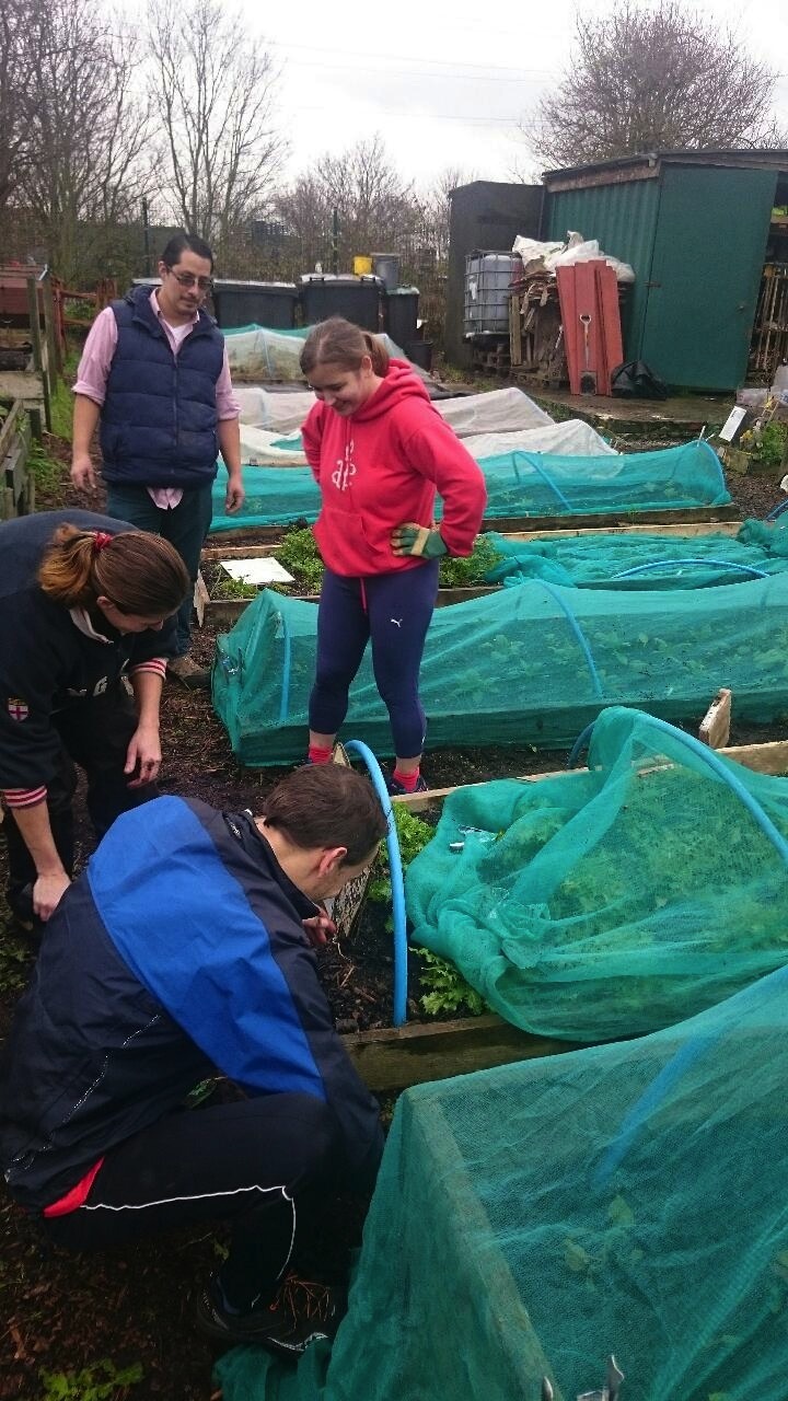 MULCH OF KINTYRE