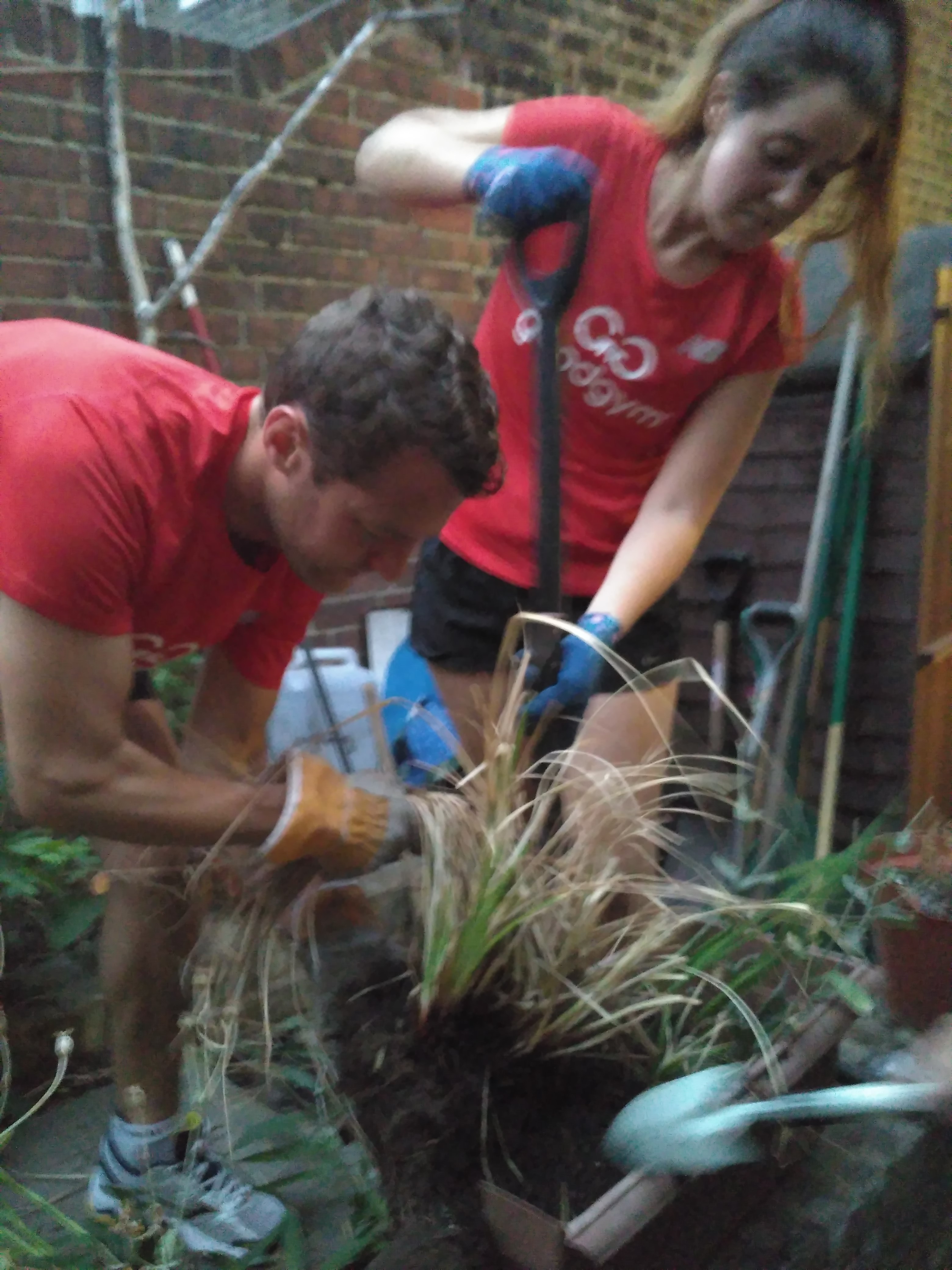 Charley's Angels get green fingered for St Mungo's