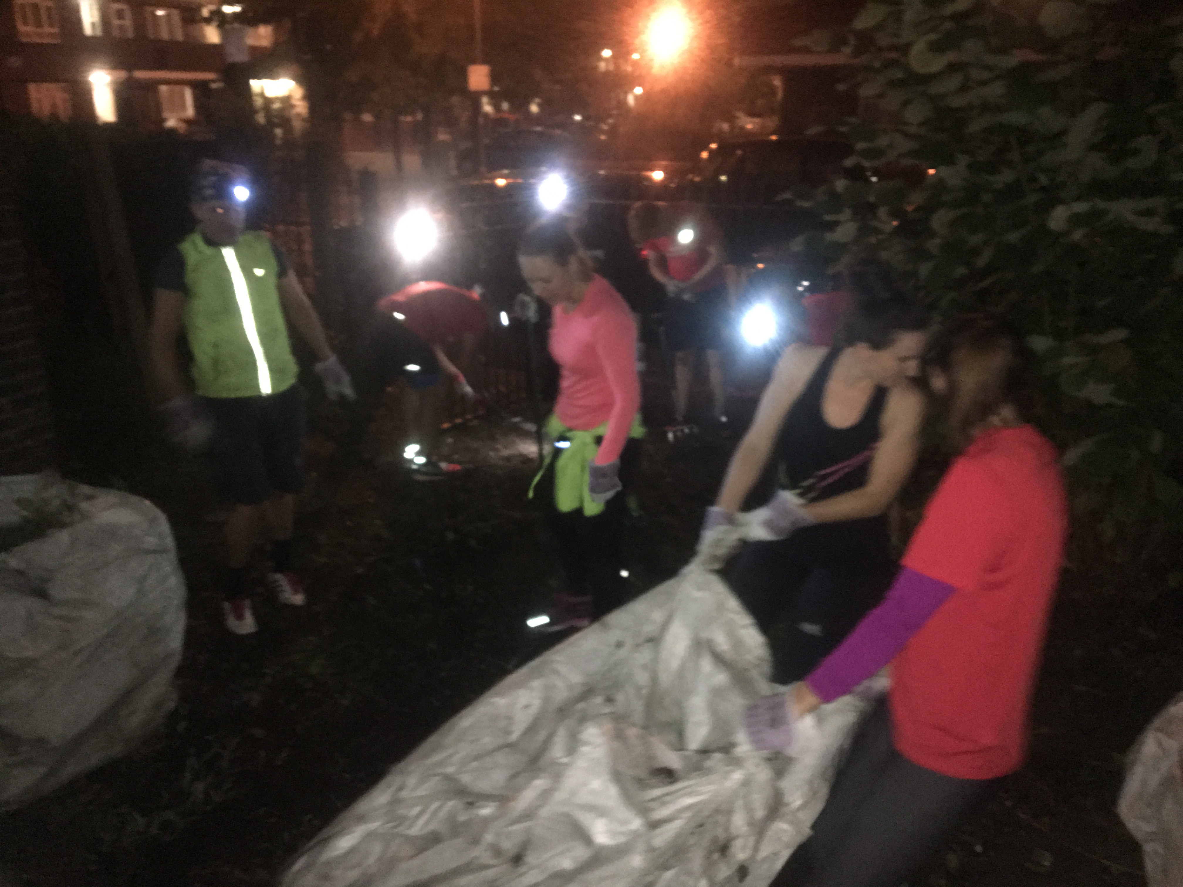 On the first day God created the heavens and the earth. On the second day......GoodGym helped with the gardening!