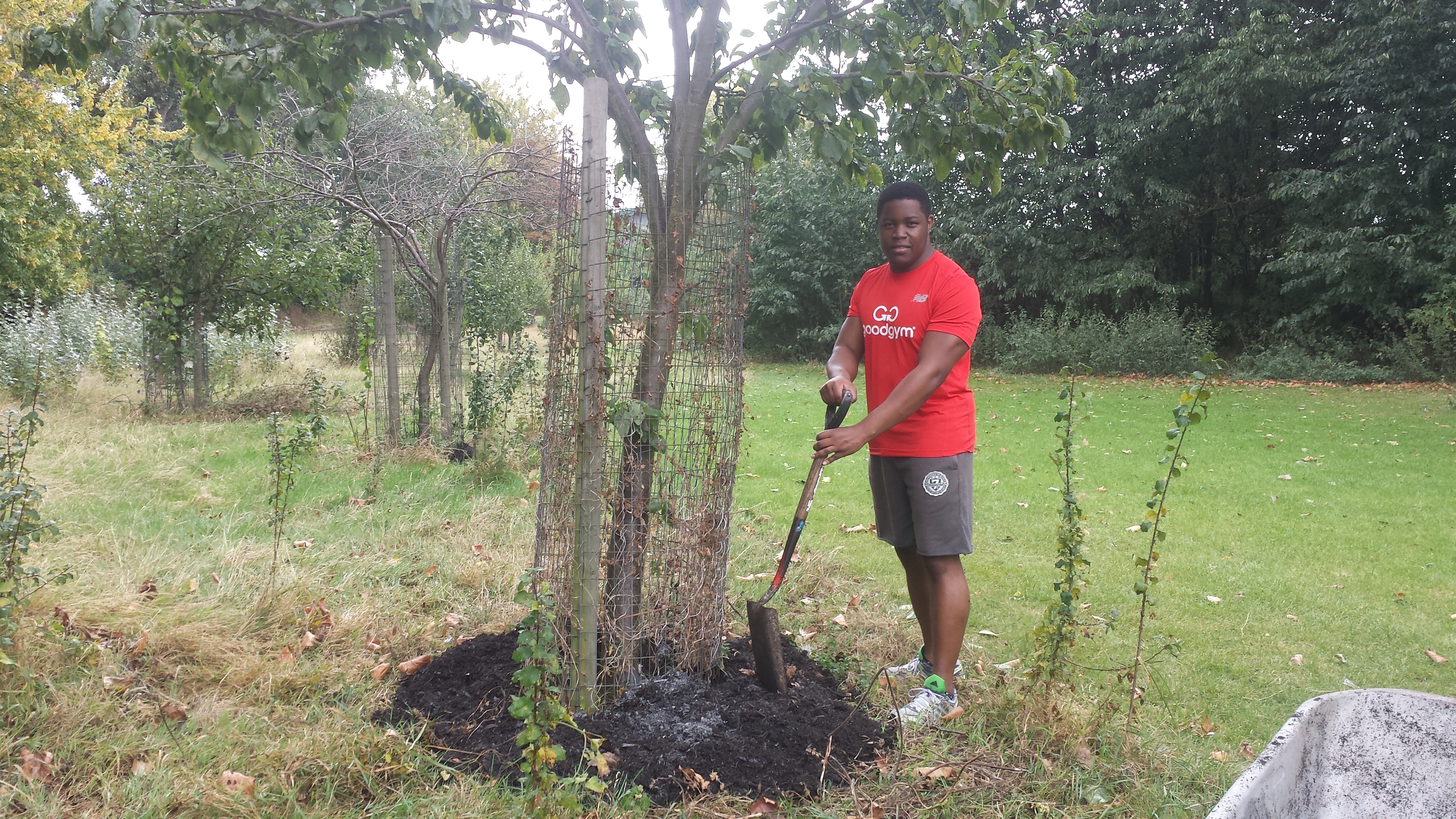 Mulching along