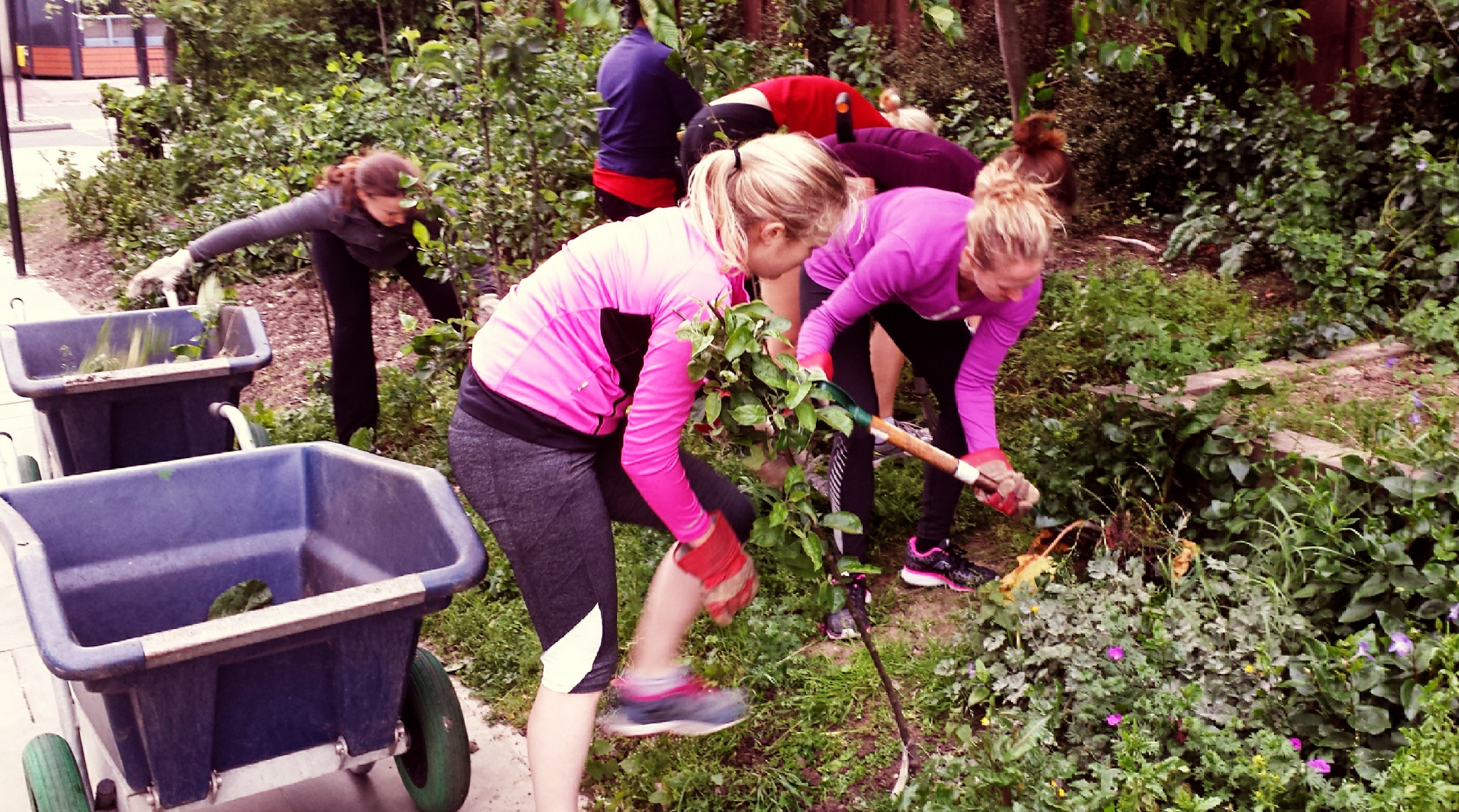 Hard-Core Boxers and a Bunch of Weeds