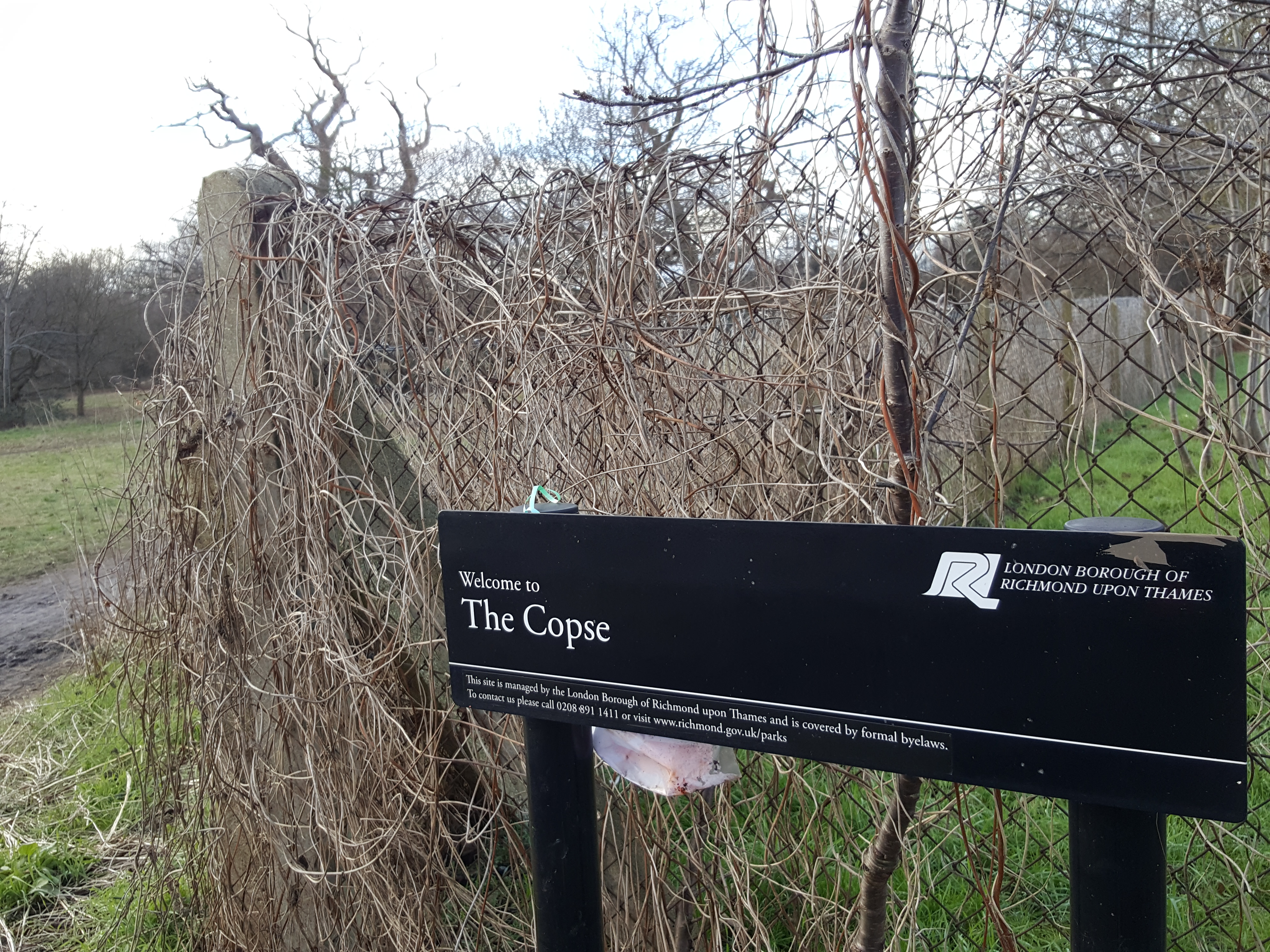 Copse had been had by the robbers as they stole LITTER-rally a load of rubbish!