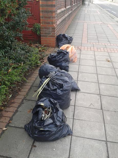 Great British Spring Clean – Wanstead edition  