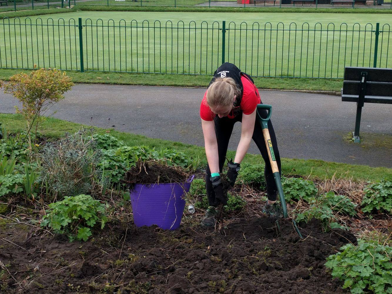 Glen Gardens Gardening