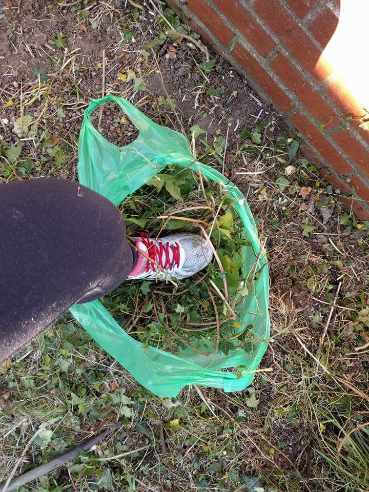 GoodGym York 10 green bin bags sitting by the wall...